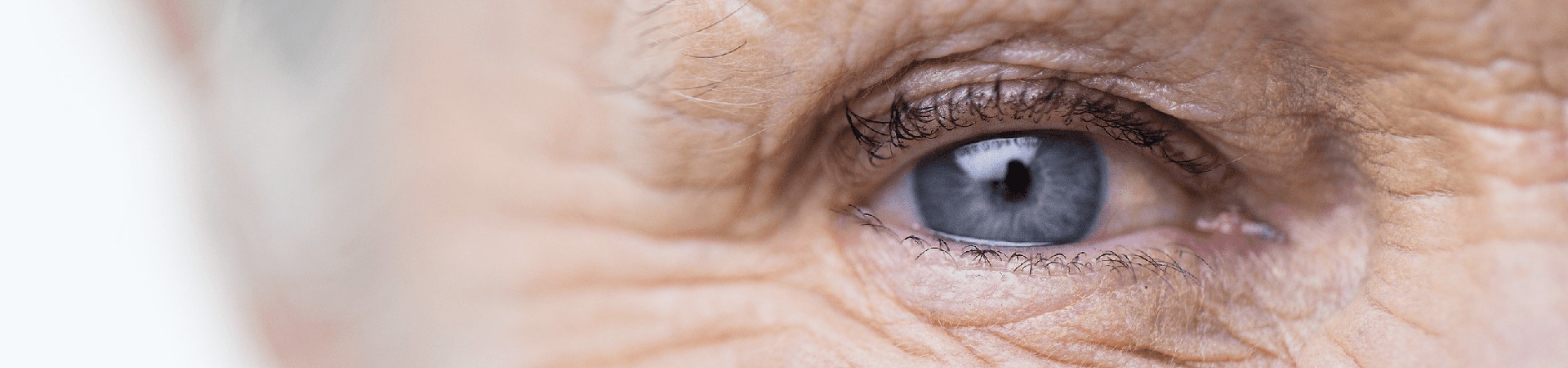 ¿Qué es la degeneración macular?