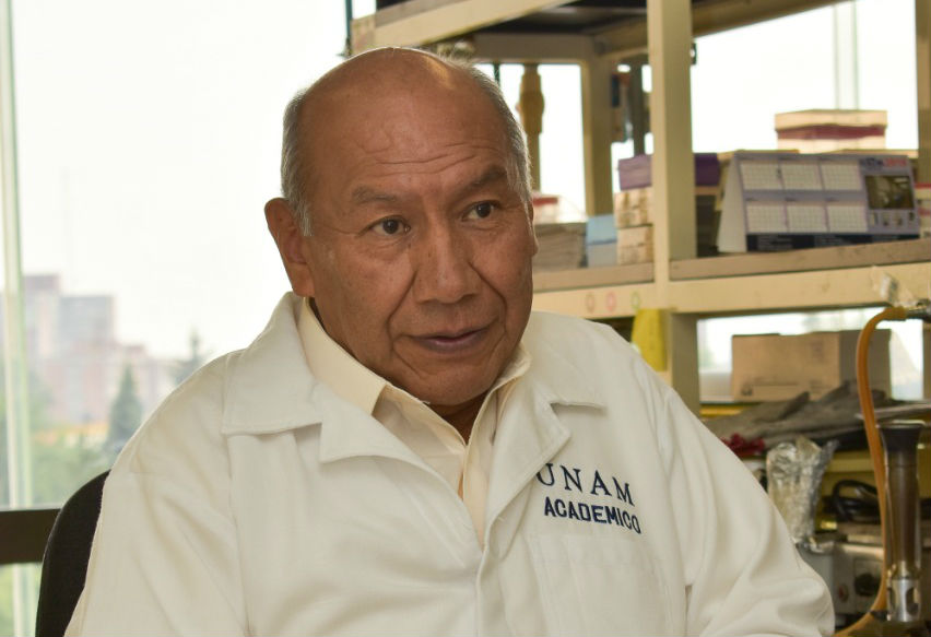 Reportan nueva variedad de E. coli de amplia distribución geográfica