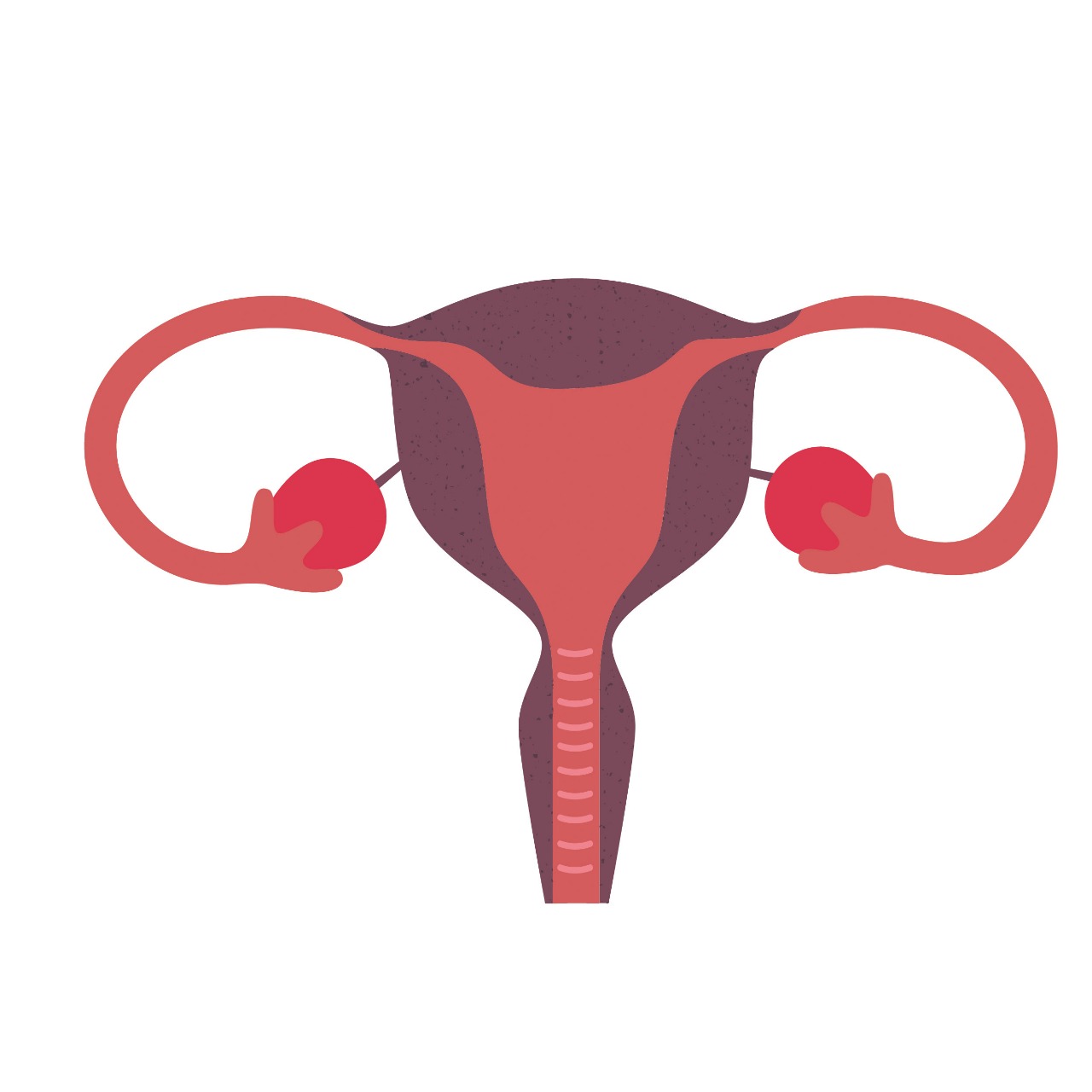 Día Mundial de la Menopausia