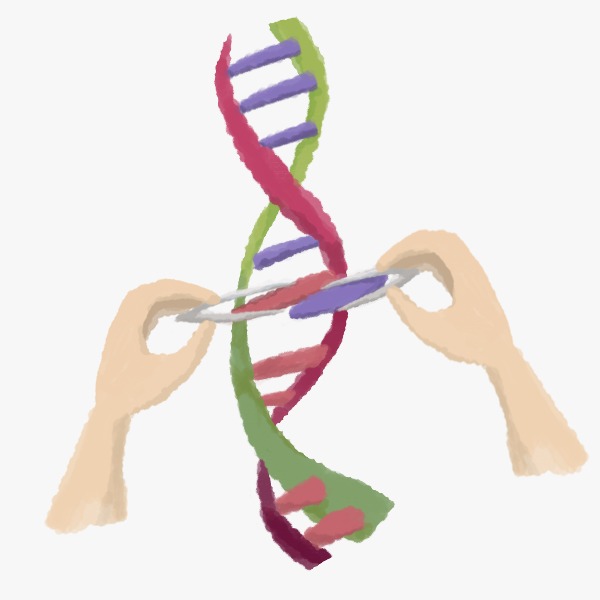 CRISPR-Cas9: la técnica para editar el ADN