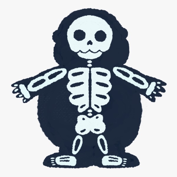 Punto de encuentro entre obesidad y osteoporosis